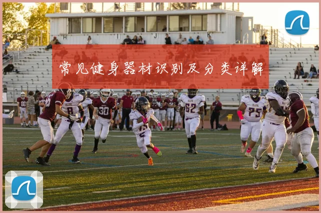 常见健身器材识别及分类详解