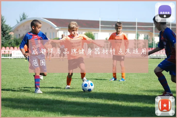 成都悍马品牌健身器材特点及适用范围