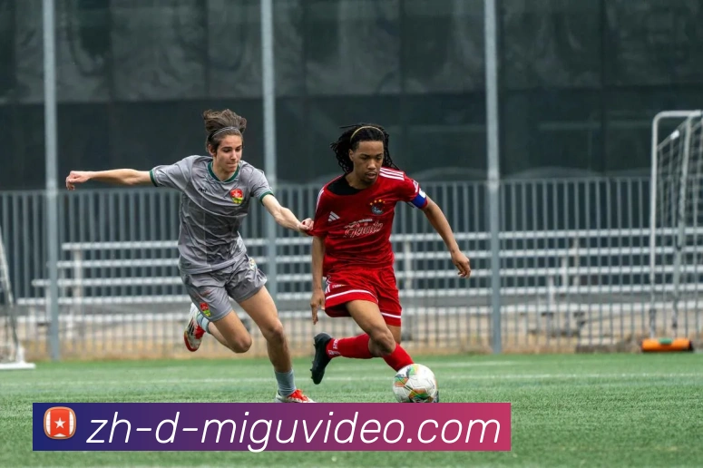 数据防护可视化